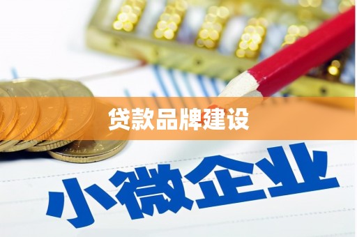 卓溪贷款品牌建设