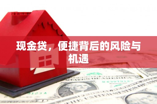 卓溪现金贷，便捷背后的风险与机遇