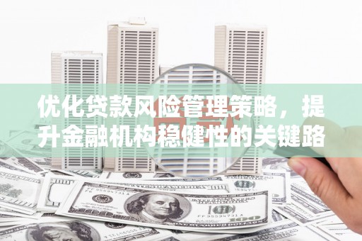 卓溪优化贷款风险管理策略，提升金融机构稳健性的关键路径