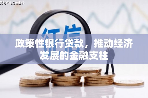 卓溪政策性银行贷款，推动经济发展的金融支柱