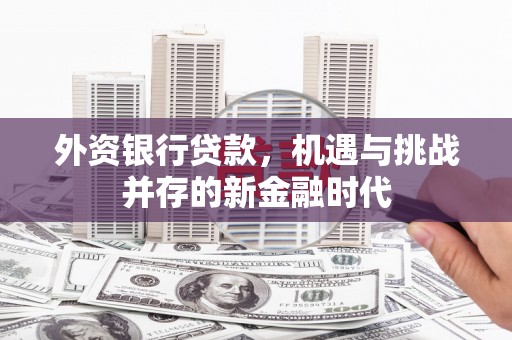 卓溪外资银行贷款，机遇与挑战并存的新金融时代