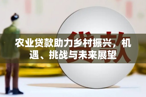 卓溪农业贷款助力乡村振兴，机遇、挑战与未来展望