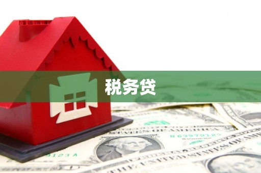 卓溪税务贷