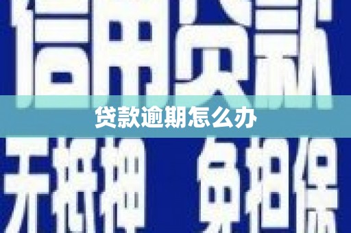 卓溪贷款逾期怎么办