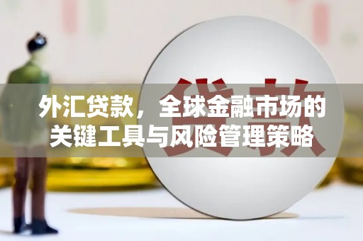 卓溪外汇贷款，全球金融市场的关键工具与风险管理策略