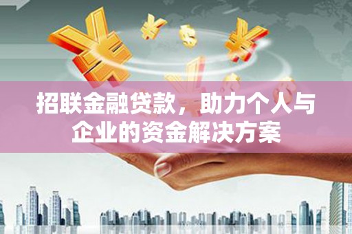 卓溪招联金融贷款，助力个人与企业的资金解决方案