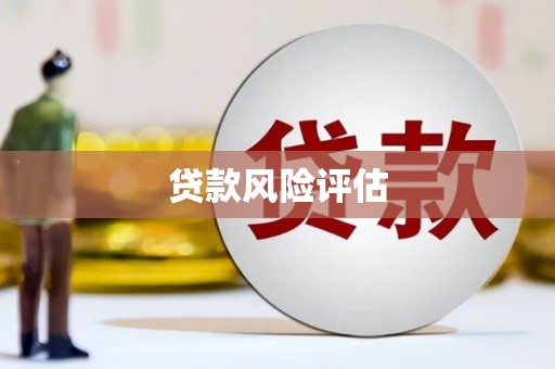 卓溪贷款风险评估