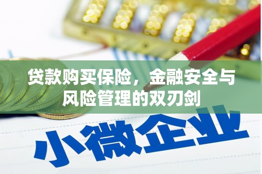 卓溪贷款购买保险，金融安全与风险管理的双刃剑