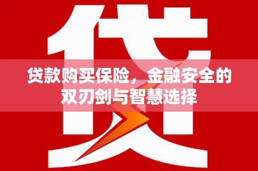 卓溪贷款购买保险，金融安全的双刃剑与智慧选择