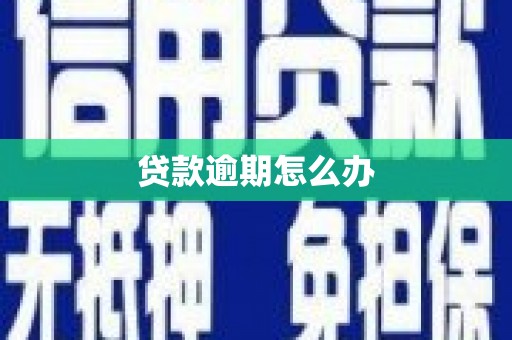 卓溪贷款逾期怎么办