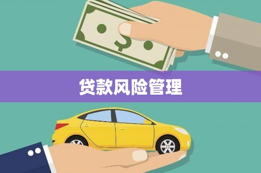 卓溪贷款风险管理
