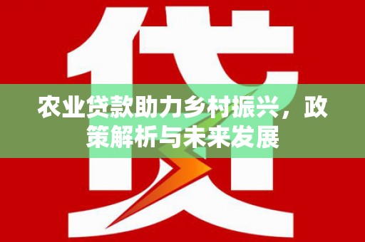 卓溪农业贷款助力乡村振兴，政策解析与未来发展