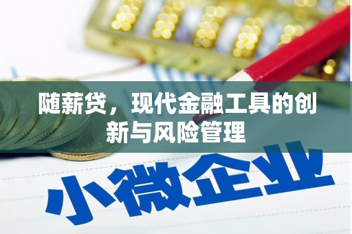 卓溪随薪贷，现代金融工具的创新与风险管理