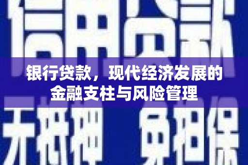 卓溪银行贷款，现代经济发展的金融支柱与风险管理