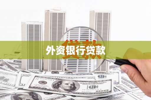 卓溪外资银行贷款