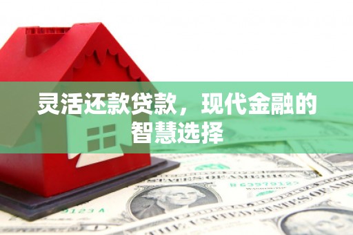 卓溪灵活还款贷款，现代金融的智慧选择