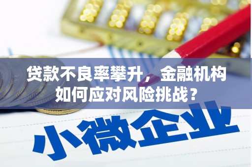 卓溪贷款不良率攀升，金融机构如何应对风险挑战？