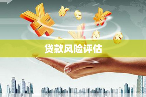 卓溪贷款风险评估