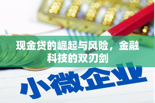 卓溪现金贷的崛起与风险，金融科技的双刃剑