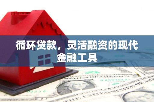 卓溪循环贷款，灵活融资的现代金融工具