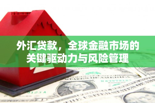 卓溪外汇贷款，全球金融市场的关键驱动力与风险管理