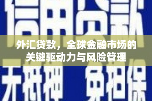 卓溪外汇贷款，全球金融市场的关键驱动力与风险管理