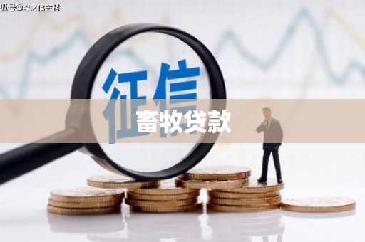 卓溪畜牧贷款