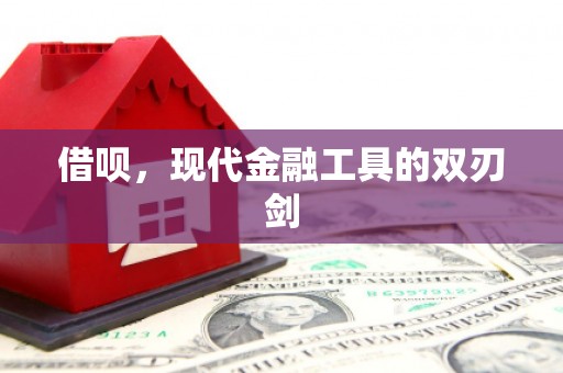 卓溪借呗，现代金融工具的双刃剑