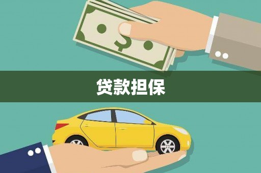 卓溪贷款担保