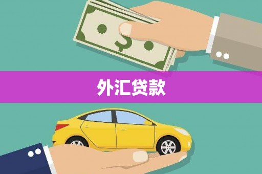 卓溪外汇贷款