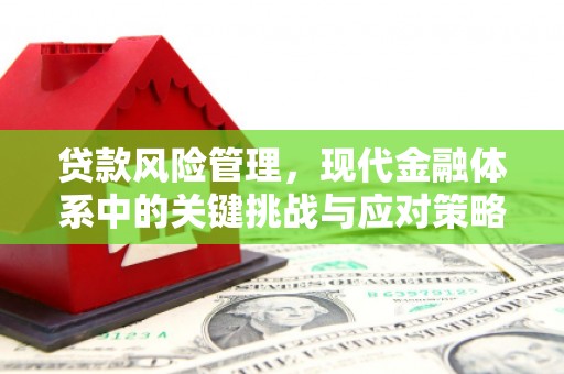 卓溪贷款风险管理，现代金融体系中的关键挑战与应对策略