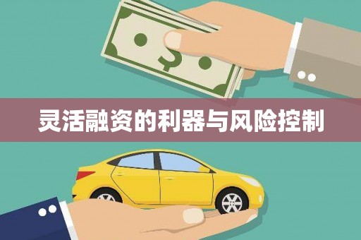 卓溪灵活融资的利器与风险控制