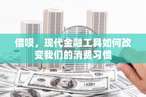 卓溪借呗，现代金融工具如何改变我们的消费习惯