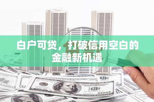 卓溪白户可贷，打破信用空白的金融新机遇