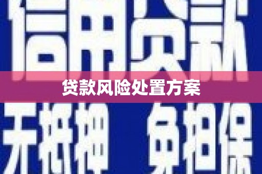 卓溪贷款风险处置方案
