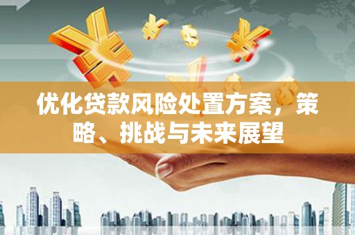卓溪优化贷款风险处置方案，策略、挑战与未来展望
