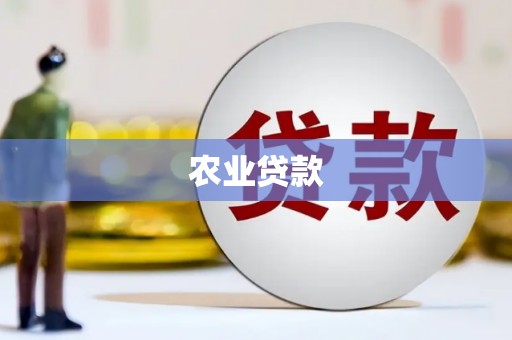 卓溪农业贷款