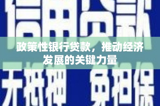 卓溪政策性银行贷款，推动经济发展的关键力量