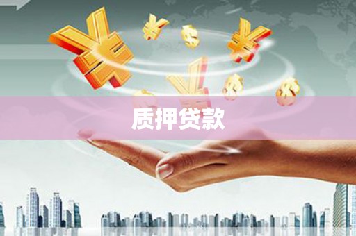 卓溪质押贷款