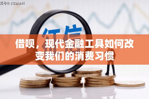 卓溪借呗，现代金融工具如何改变我们的消费习惯