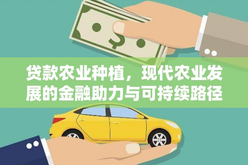 卓溪贷款农业种植，现代农业发展的金融助力与可持续路径