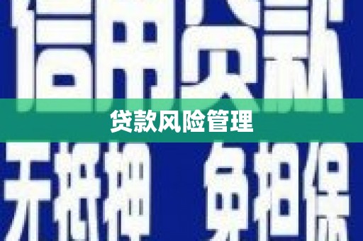 卓溪贷款风险管理
