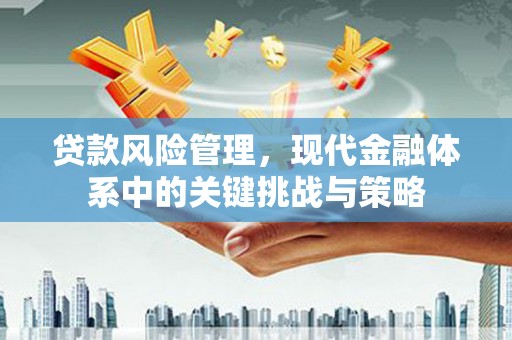卓溪贷款风险管理，现代金融体系中的关键挑战与策略