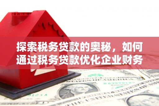 卓溪探索税务贷款的奥秘，如何通过税务贷款优化企业财务