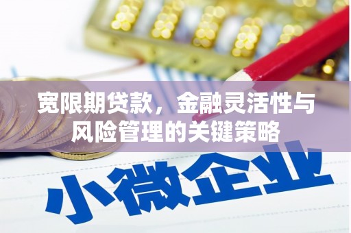 卓溪宽限期贷款，金融灵活性与风险管理的关键策略