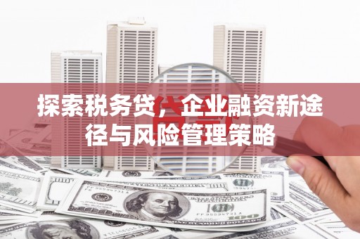 卓溪探索税务贷，企业融资新途径与风险管理策略