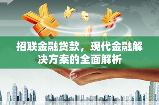 卓溪招联金融贷款，现代金融解决方案的全面解析