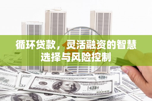 卓溪循环贷款，灵活融资的智慧选择与风险控制