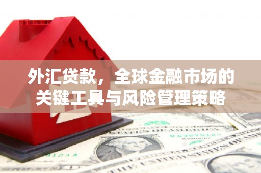 卓溪外汇贷款，全球金融市场的关键工具与风险管理策略
