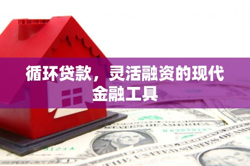 卓溪循环贷款，灵活融资的现代金融工具